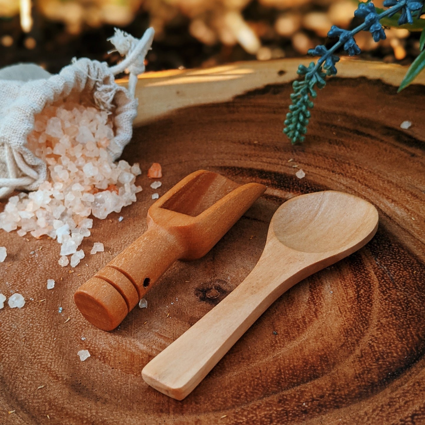 Natural wood mini spoon and scooper set