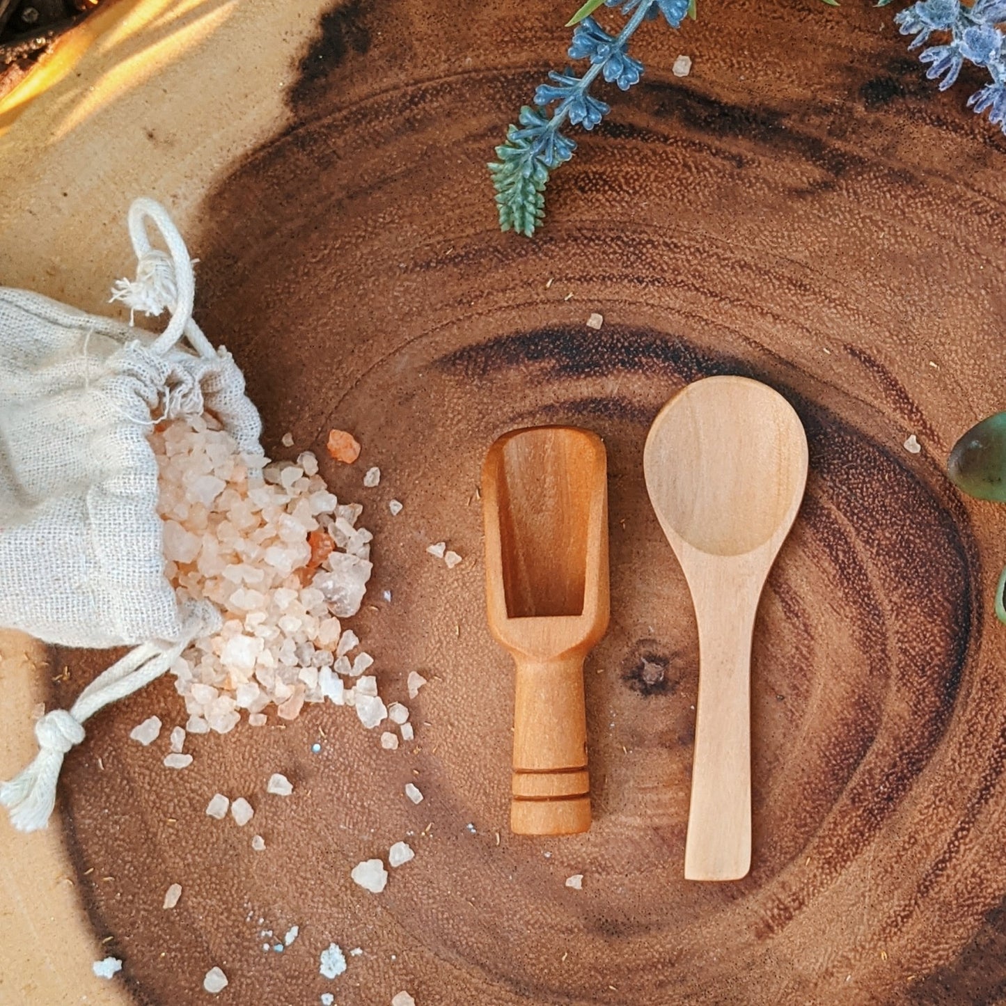 Natural wood mini spoon and scooper set