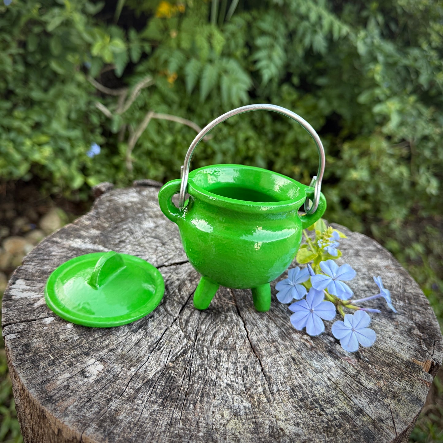 Cauldron pot with green lid