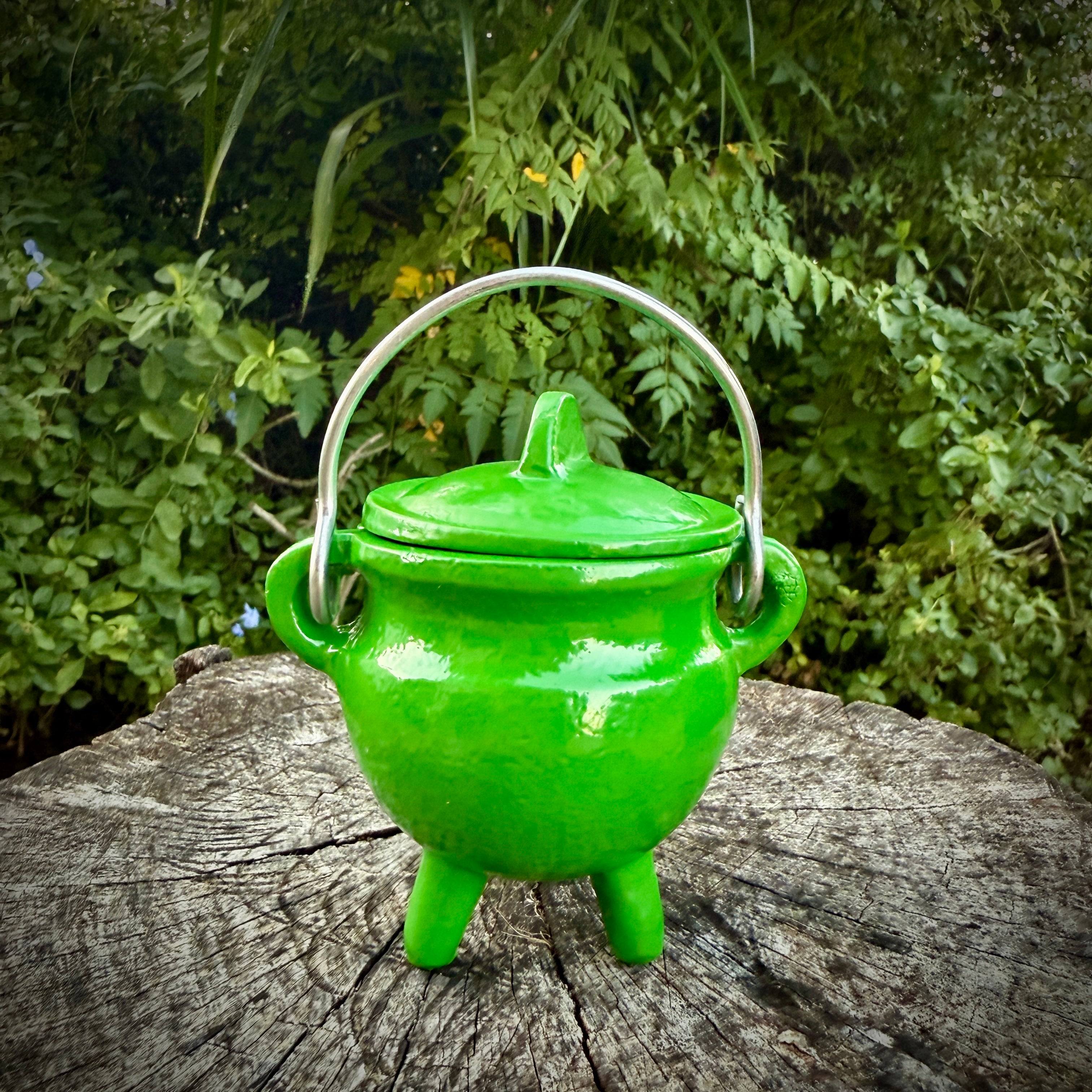 Green Cast Iron Cauldron
pot with green lid