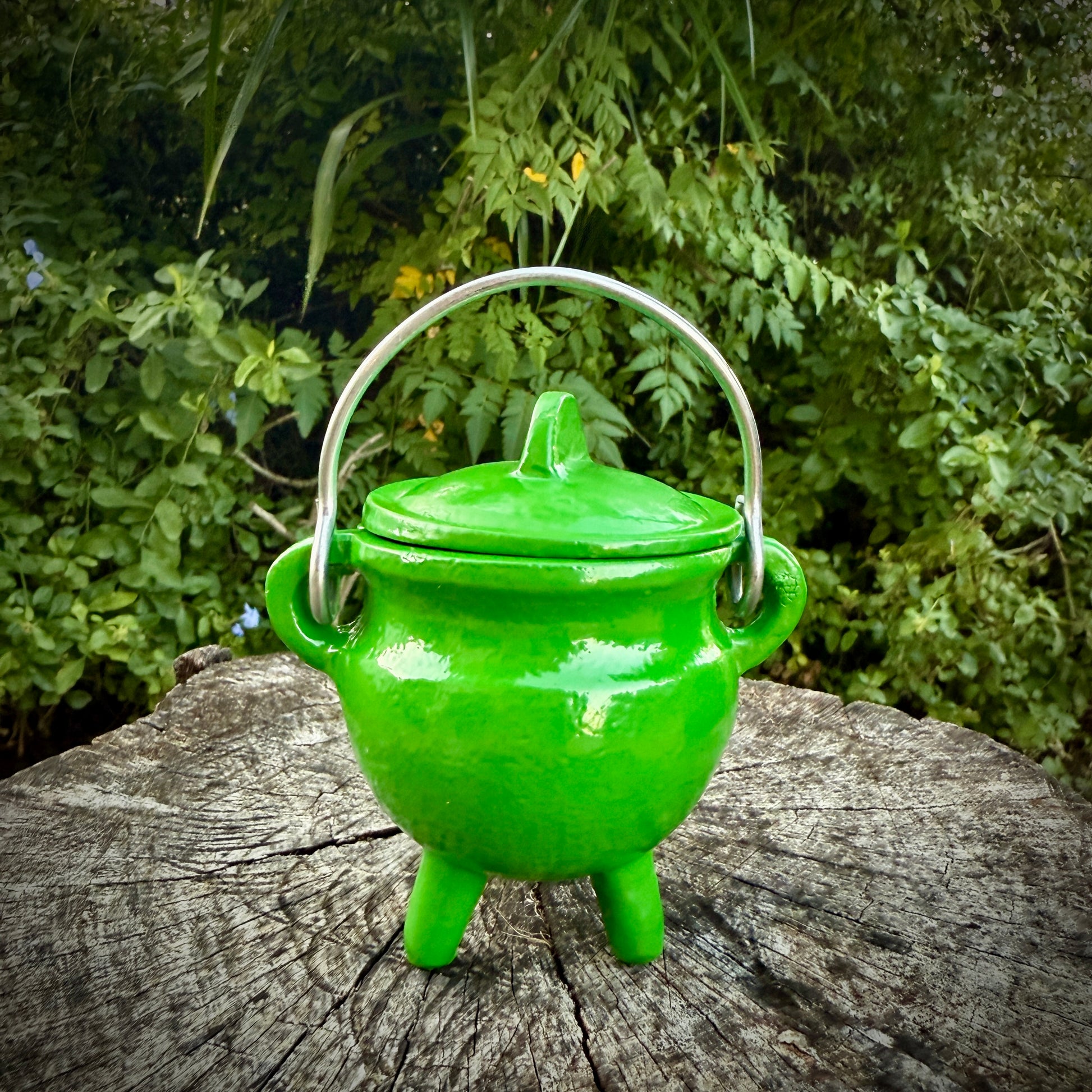 Green Cast Iron Cauldron
pot with green lid