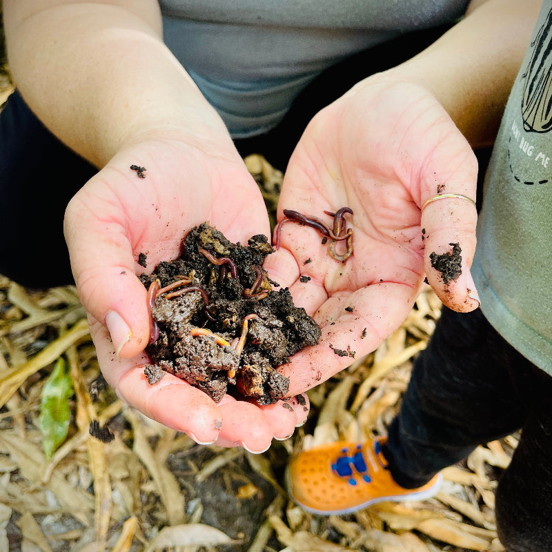 Nature Explorer Kit – Discover Nature with All Your Senses