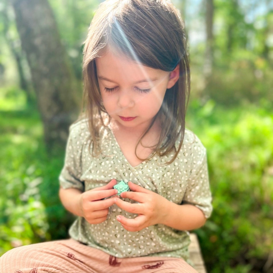 Nature Subscription Box for Kids