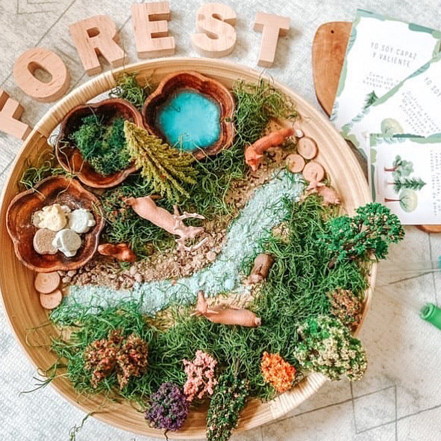 Wild Forest Potion Kit for kids emotional connections Imaginative play and love for nature with nontoxic ecofriendly ingredients
